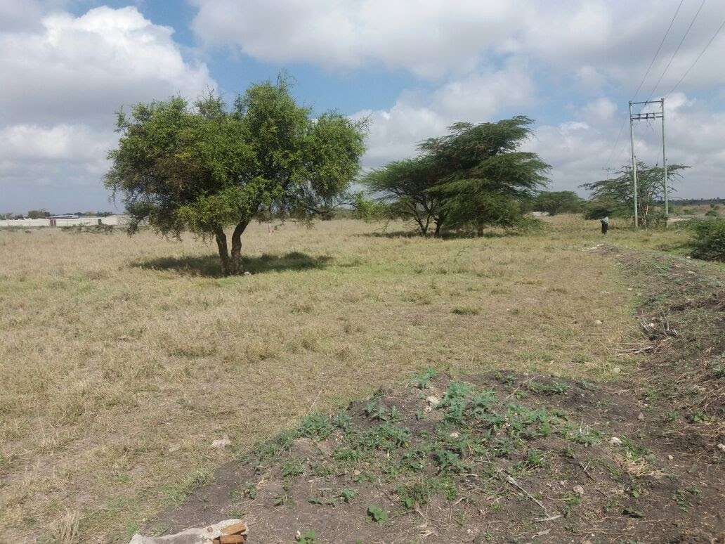 Pipeline Road Commercial Plots — Isinya — photo 3