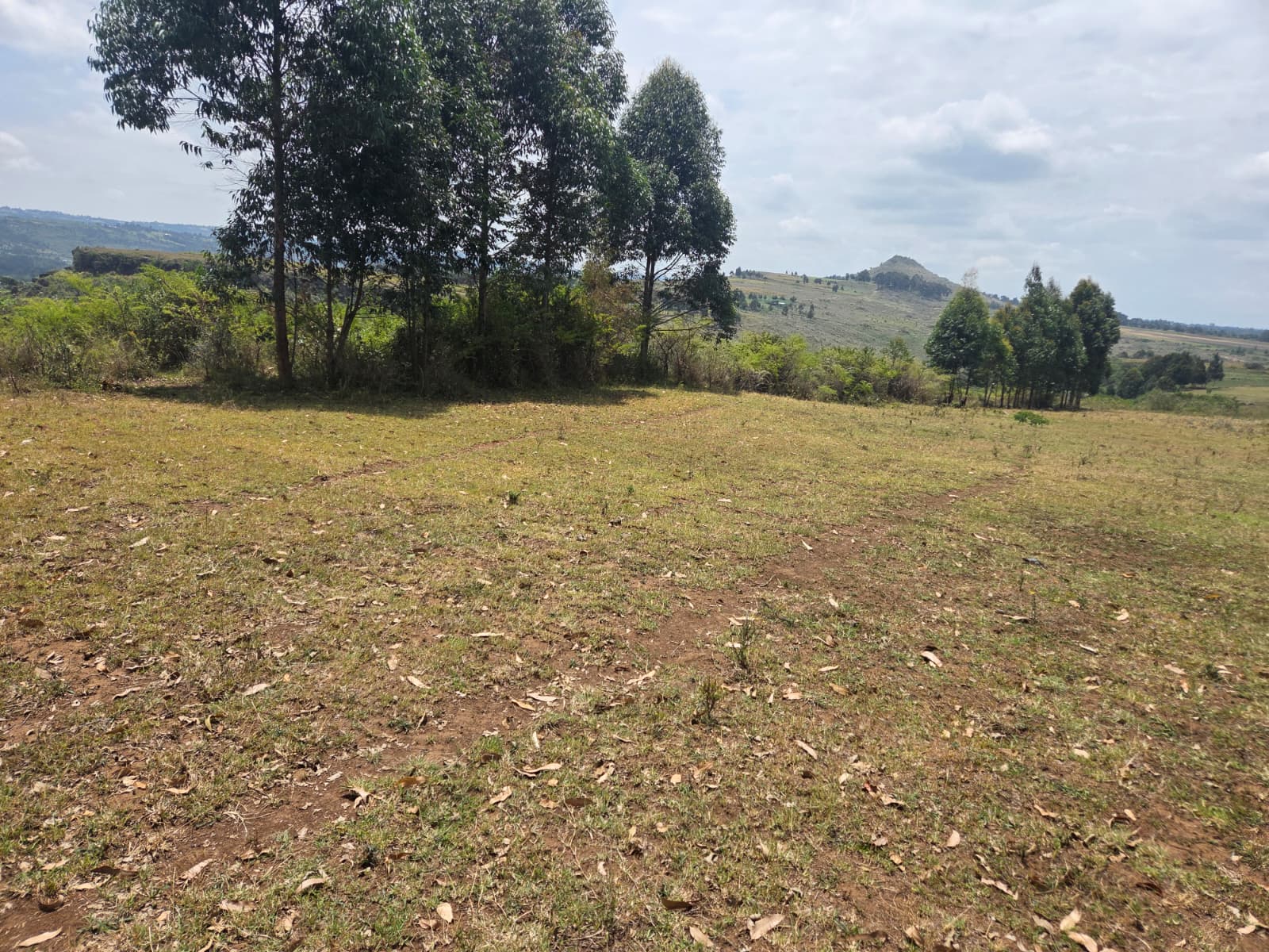 40.5 Acres — Kandutura, Ol Kalou — photo 2