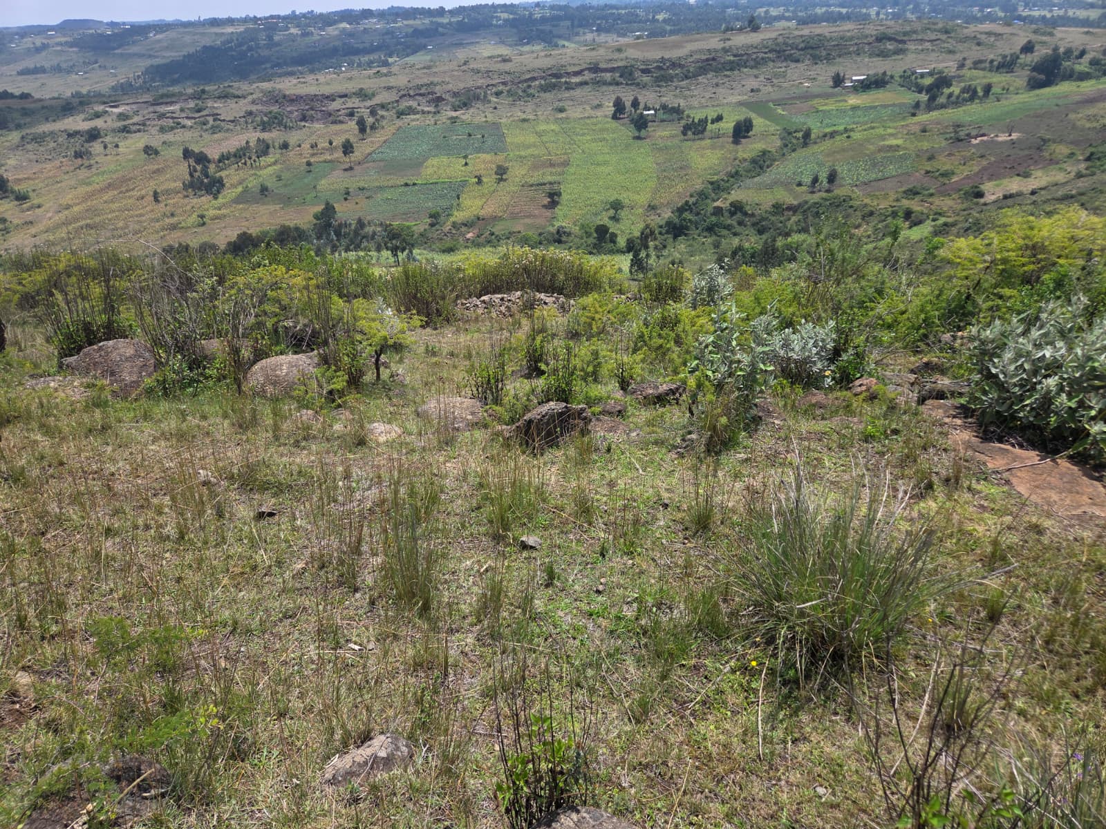 40.5 Acres — Kandutura, Ol Kalou — photo 3