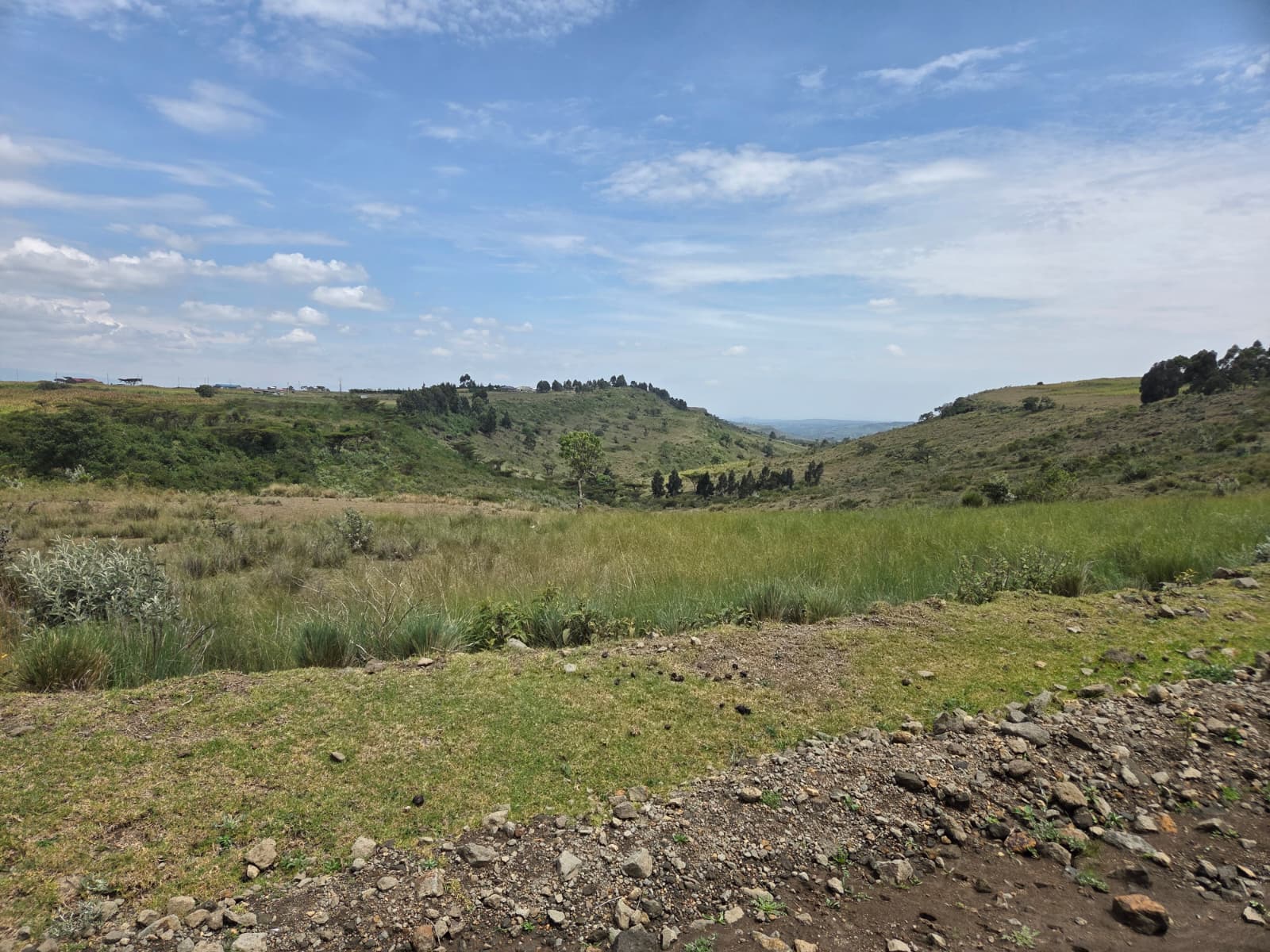 40.5 Acres — Kandutura, Ol Kalou — photo 4