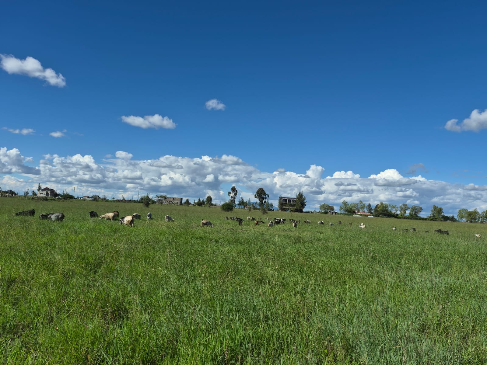 Aerial view of 46 Acres — Joska Bulk Land in Joska, Machakos Road